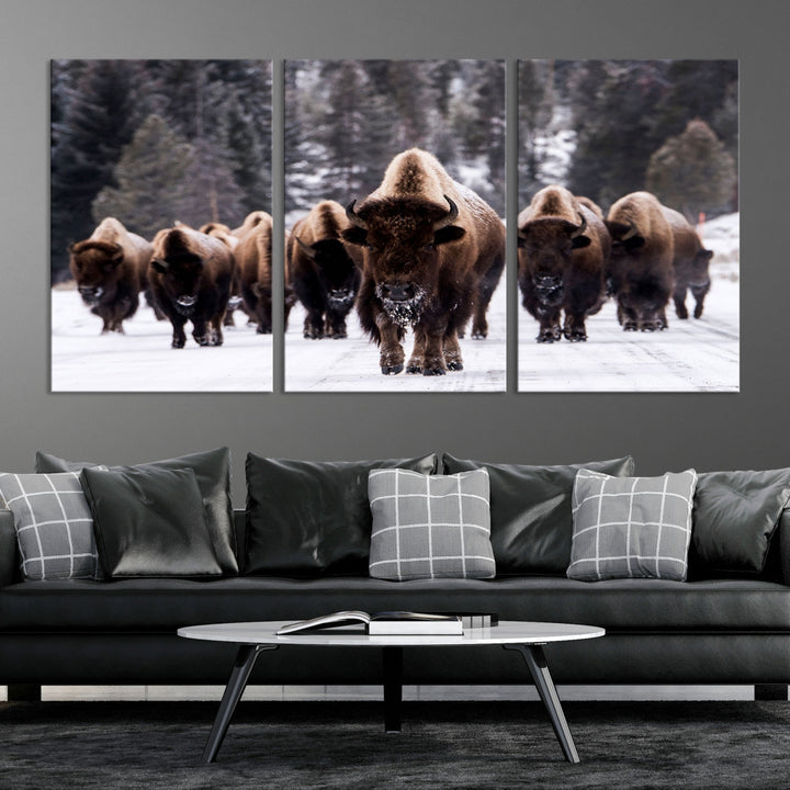 Buffalo Wall Art Canvas Print, Bison Wall Art Canvas Print