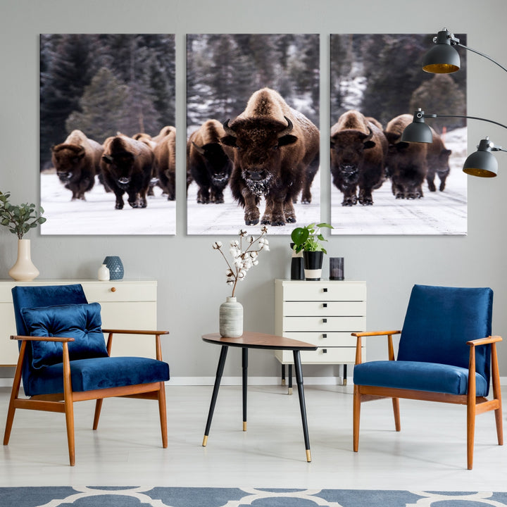 Buffalo Wall Art Canvas Print, Bison Wall Art Canvas Print